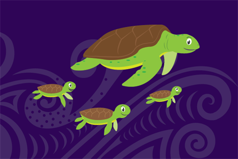 Babies-and-Toddlers-Turtles.png